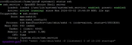 rootlocalhost homeguru.jpg