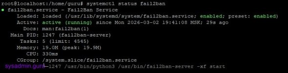 rootlocalhost homeguru.jpg