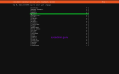 ubuntu 24 install 2.png