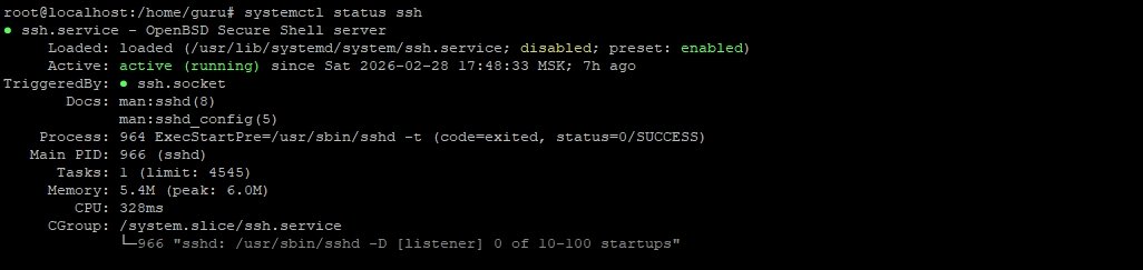rootlocalhost homeguru.jpg