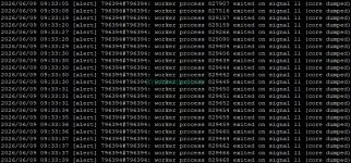 Воркеры nginx падают с SIGSEGV: диагностика через core dump и пересборка динамического модуля